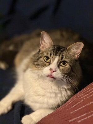 IMG_0322.jpeg