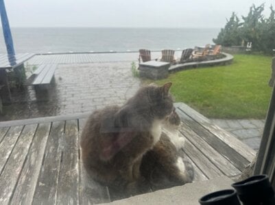 IMG_5371.jpeg