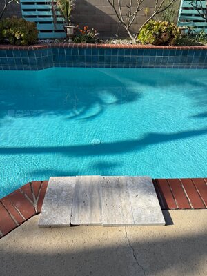 IMG_1746.jpeg