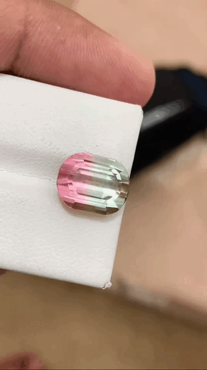 VID_20250516_071847_884(1).gif