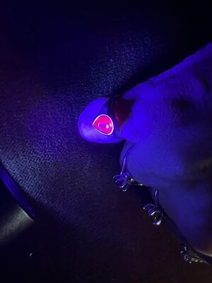 IMG_6454.jpeg