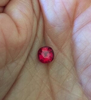 IMG_2633.jpeg