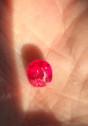 IMG_2634.jpeg