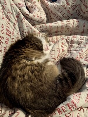 IMG_5659.jpeg
