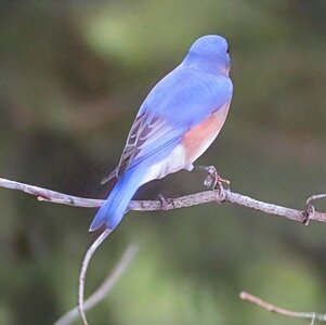 IMG_8335.JPG