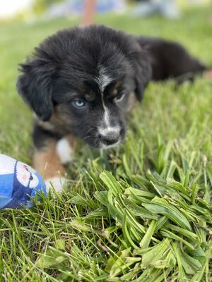 IMG_8308.jpeg