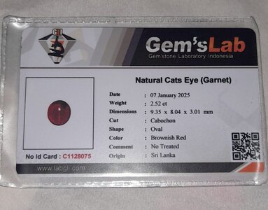 natural_cats_eye_garnet_1736678351_a65fce38_progressive.jpg