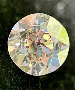 IMG_5299.jpeg