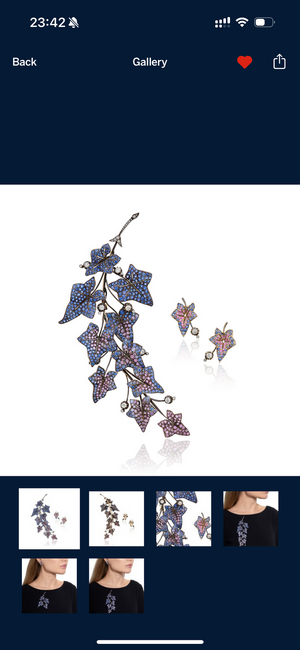 IMG_4078.png