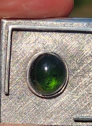 20250531_162533.jpg