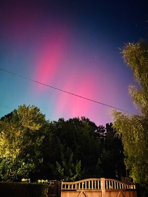 IMG_3868.jpeg