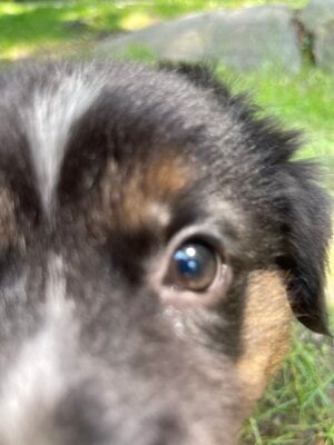 IMG_8376.jpeg