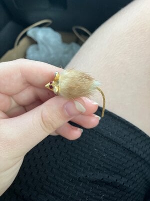 IMG_0802.jpeg