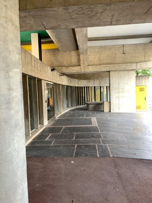IMG_6312.jpeg