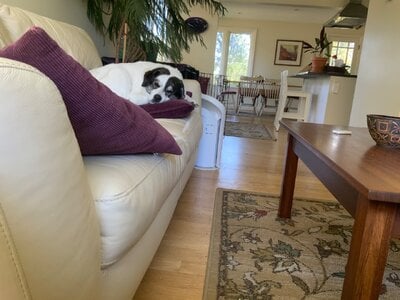 IMG_2623.jpeg