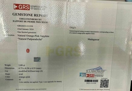 GRS pad report123_1.jpg