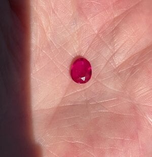 IMG_7210.jpeg IMG_7210.jpeg