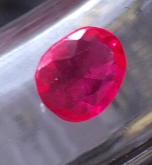 IMG_2138.jpeg