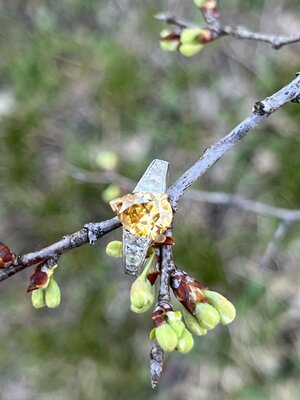 IMG_5811.jpg
