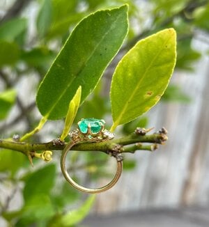 IMG_4029.jpeg
