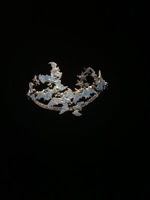 IMG_6436.jpeg