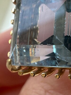 IMG_1081.jpeg