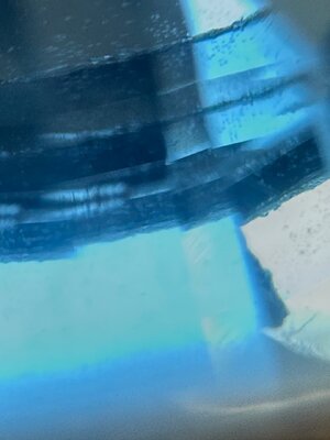 IMG_1095.jpeg