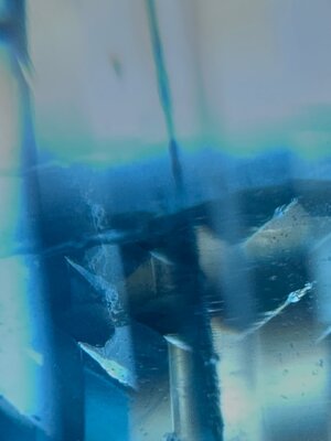 IMG_1096.jpeg