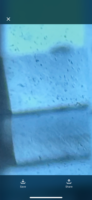 IMG_1182.png