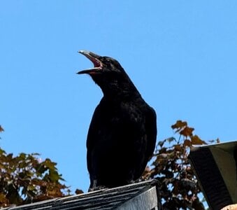 IMG_8404.jpg