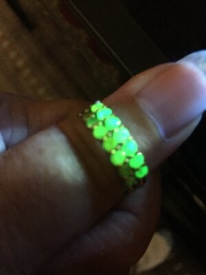 IMG_2536.jpeg