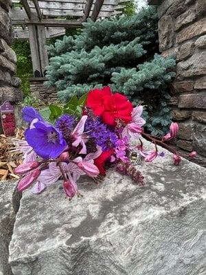 IMG_6725.jpeg