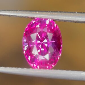 IMG_1362.jpeg