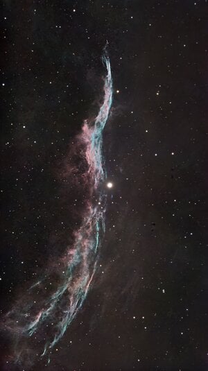 Veil 6960-3.jpeg