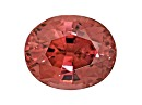 1750782159387.png