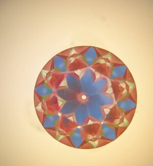 PXL_20250621_170430476.jpg