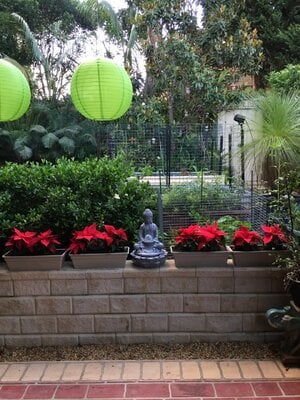 IMG_1205.jpeg