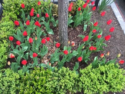 IMG_1884.jpeg