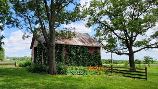 barn1a.jpg