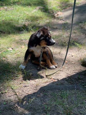IMG_8593.jpeg