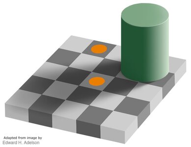 AdelsonIllusion.jpg