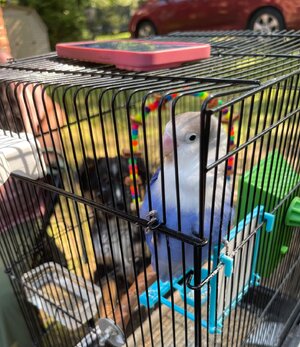 IMG_8587.jpeg