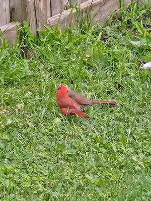 20250708_133812~2.jpg