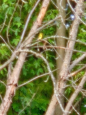20250707_193612~2.jpg