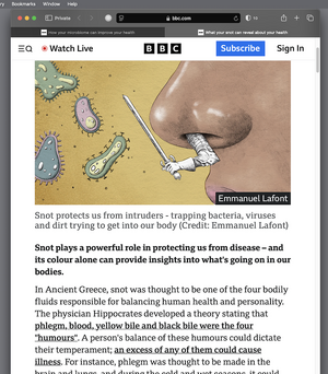 headline SC.png