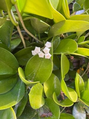 IMG_0359.jpeg
