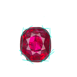 1000036066(1).png