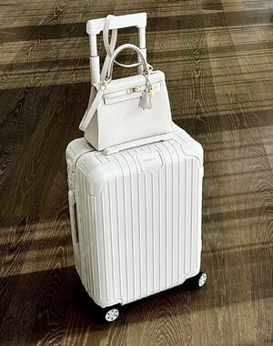 Hermes_Rimowa.jpeg