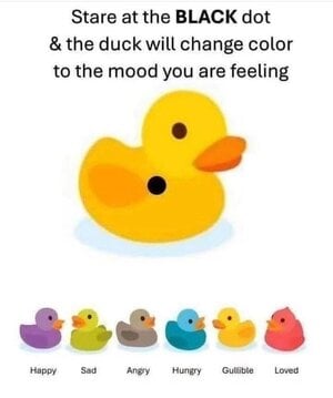 1752613726339.jpeg