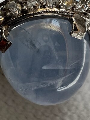 IMG_7338.jpeg